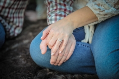 Nikki-Mike-Engagement-2020-42-of-60