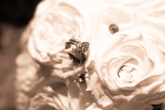 Jeremy-Miriams-Wedding-20161004-15-of-550